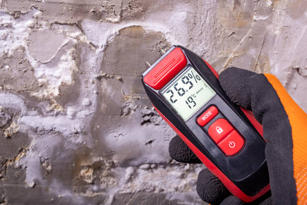 Best Mold Removal Company Near Me  in Montebello, CA