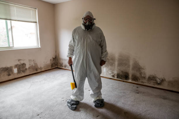 Best Mold Testing  in Montebello, CA